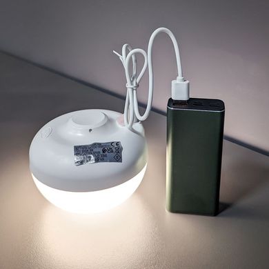 Декоративный светильник с аккумулятором NewGarden Cherry LUMCHE011BXWLNW