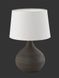 Декоративная настольная лампа Trio Martin R50371026