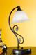 Декоративна настільна лампа Eglo Murcia 91007