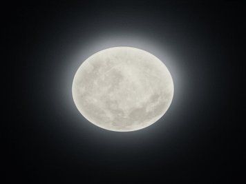 Стельовий світильник Trio Lunar 627514000