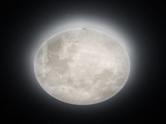 Стельовий світильник Trio Lunar 627516000