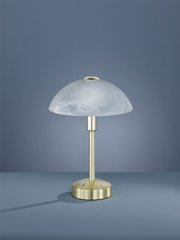 Декоративна настільна лампа Trio Donna 525790108