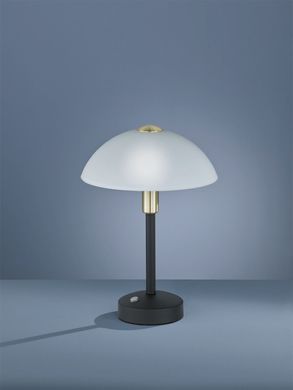 Декоративна настільна лампа Trio Donna 525790132