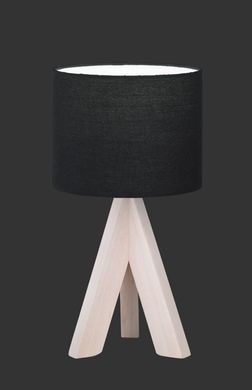 Декоративна настільна лампа Trio Ging R50741002