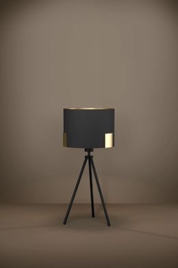 Декоративная настольная лампа Eglo 39965 TORTOLA 1