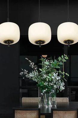 Люстра-підвіс LAGUNA LIGHTING 27663-10