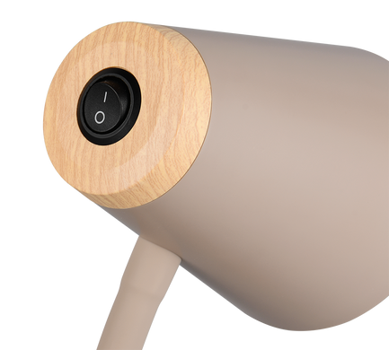 Настольная лампа REALITY R55831143 PONGO