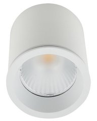 Точковий накладний світильник Maxlight C0155 TUB