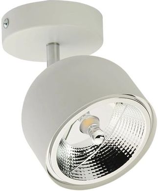 Точковий накладний світильник TK Lighting ALTEA WHITE 6512