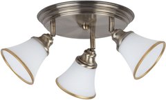 Спот с тремя лампами Rabalux 6548 Grando