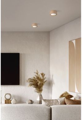 Точковий накладний світильник TK LIGHTING 10123 EVE