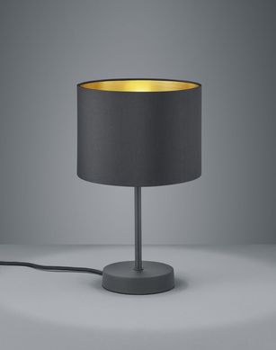 Декоративна настільна лампа Trio Hostel 508200179