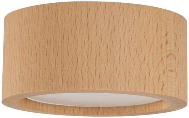 Точковий накладний світильник TK LIGHTING 10123 EVE