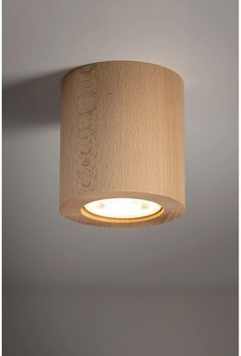 Точковий накладний світильник TK LIGHTING 10121 EVE
