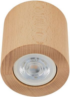 Точковий накладний світильник TK LIGHTING 10121 EVE