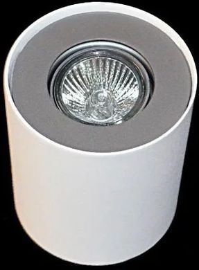 Точечный накладной светильник Azzardo Neos 1 FH31431B WH/ALU (AZ0606)