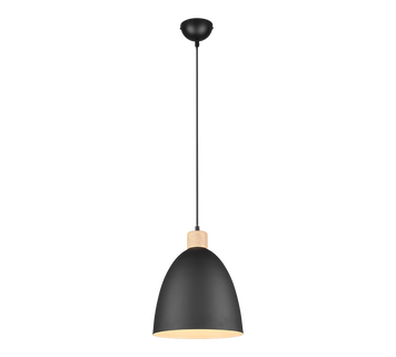 Люстра-підвіс REALITY R30681032 JAGGER