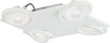 Потолочный светильник Eglo BREA PRO 63309