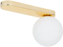 Точечный накладной светильник TK Lighting BIANCA GOLD 4698