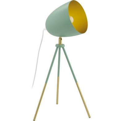 Декоративна настільна лампа Eglo 49047 Chester-P