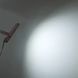 LED прожектор VIDEX F5 20W 3000-5000-6500K 230V білий (VL-F5-020CW) арт. 29252