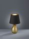 Декоративна настільна лампа Trio Pineapple R50421079