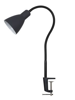 Настольная лампа Laguna Lighting 95764-01