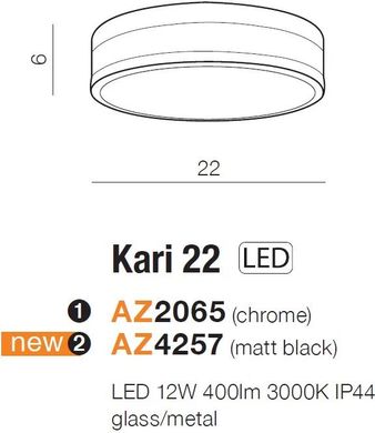 Вуличний стельовий світильник Azzardo AZ4257 KARI 22 MATT BLACK