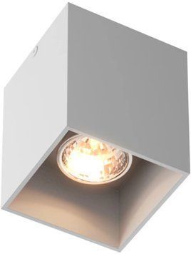 Точковий накладний світильник Zuma Line 50475-WH Square