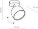 Бра направленного света TK LIGHTING 3424
