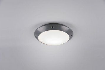 Потолочный светильник Trio Camaro R60501042