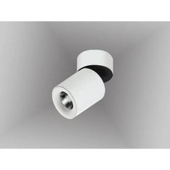 Точечный накладной светильник Azzardo SIENA 10 AZ2210 (SH603000-10-WH)