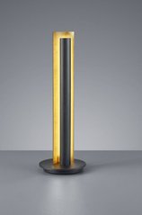 Декоративна настільна лампа Trio Texel 574410179