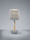 Декоративная настольная лампа Trio Rotin 510900111
