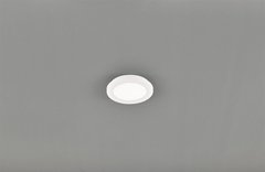 Потолочный светильник Trio Camillus R62921001