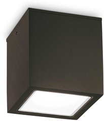 Уличный потолочный светильник Ideal Lux TECHO 251530