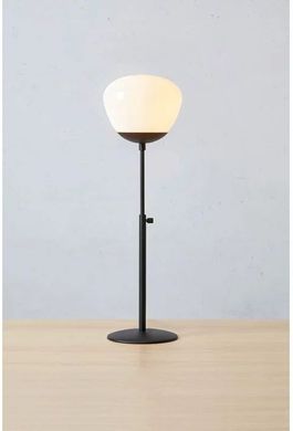 Декоративная настольная лампа Markslojd RISE 108545