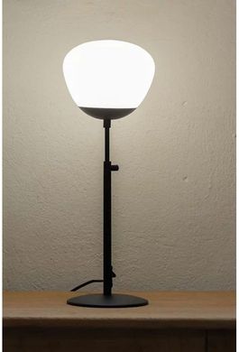 Декоративна настільна лампа Markslojd RISE 108545