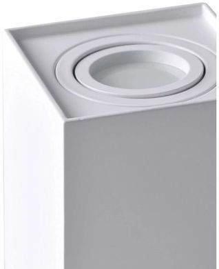Точковий світильник GOLDLUX HADAR 313119